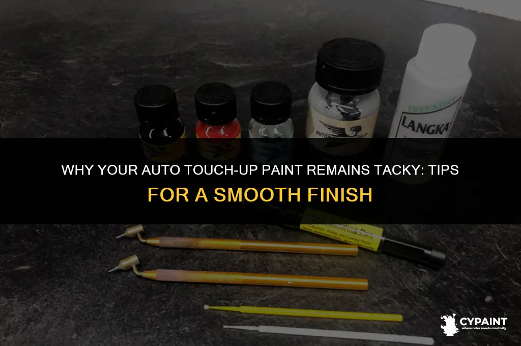 why does my auto touch up paint is still tacky