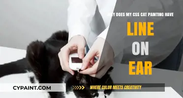 CSS Cat Painting: Understanding the Mysterious Line on the Ear
