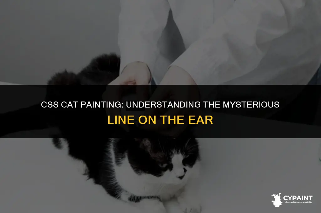 why does my css cat painting have line on ear