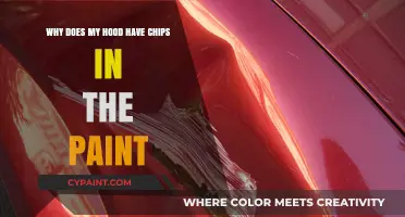 Why Your Hood's Paint Chips: Causes and Solutions Explained