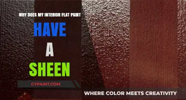 Why Interior Flat Paint Shows Sheen: Causes and Solutions