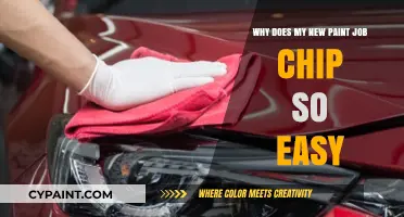 Why New Paint Chips Easily: Common Causes and Solutions