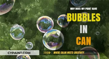 Unveiling the Mystery: Why Your Paint Can is Bubbling