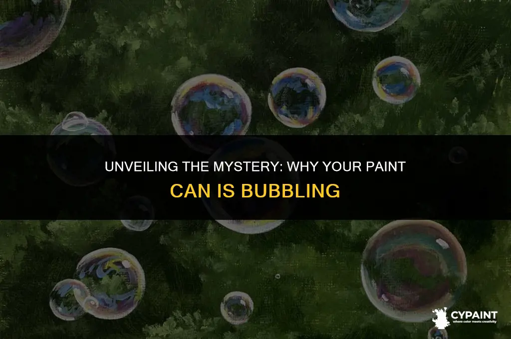why does my paint have bubbles in can
