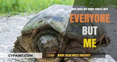Why My Paint Turtle Bites Everyone Except Me: Unraveling the Mystery