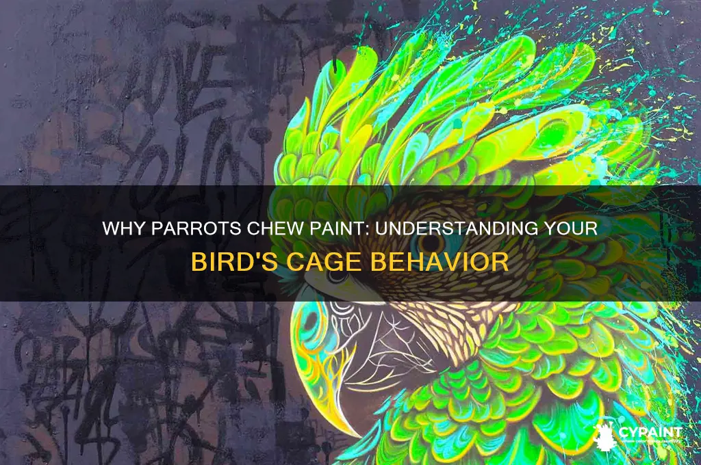 why does my parrot chew paint off his bars