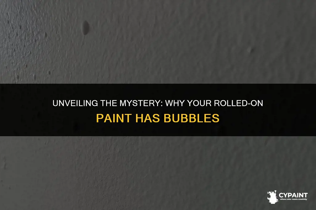 why does my rolled on paint have bubbles in it