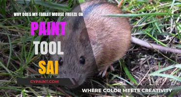 Troubleshooting Tablet Mouse Freezes in Paint Tool SAI