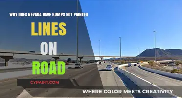 Nevada's Unique Road Markings: Bumps Over Lines for Safety
