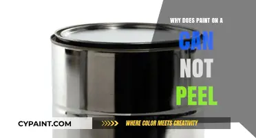 Unraveling the Mystery: Why Paint on Cans Remains Intact