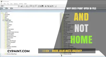 Why Paint Opens in File Explorer Instead of Home: Explained