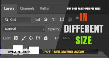 Why Paint Opens PSD Files in Different Sizes: Explained
