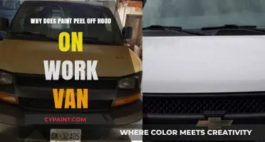 Why Paint Peels Off Your Work Van's Hood: Causes & Fixes