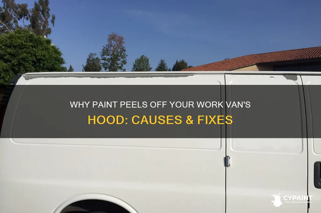 why does paint peel off hood on work van