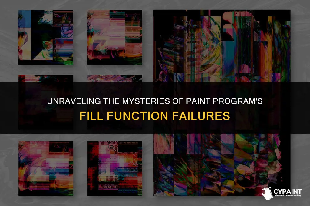 why does paint program