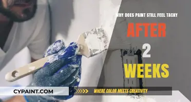 Why Paint Stays Tacky: Uncovering Causes and Solutions After Two Weeks