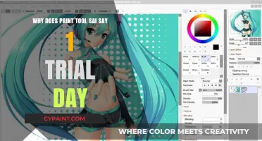 Understanding Paint Tool SAI's 1 Trial Day Limitation: What You Need to Know