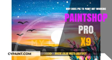 Troubleshooting Pic-to-Paint Issues in PaintShop Pro X9