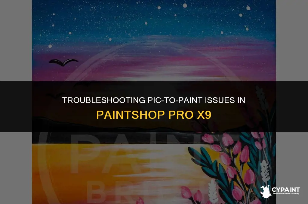 why does pic to paint not working paintshop pro x9
