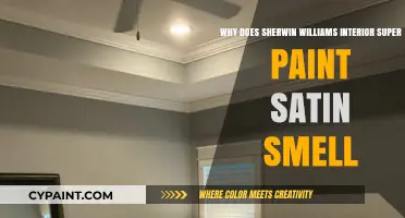 Why Sherwin Williams Interior Super Paint Satin Smells Strongly