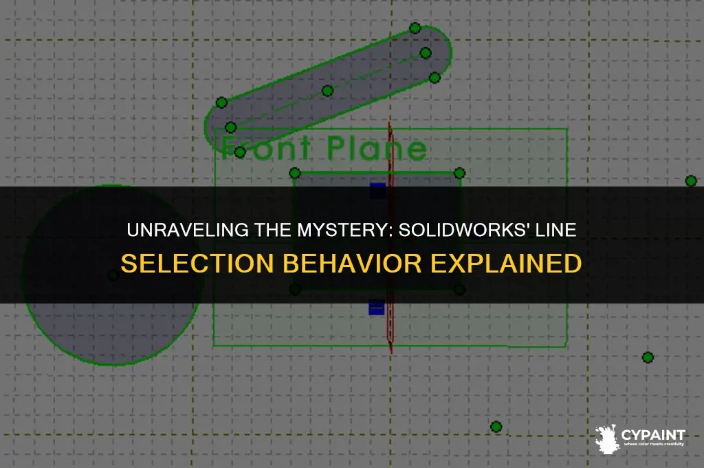 why does solidworks paint every line when selecting an object