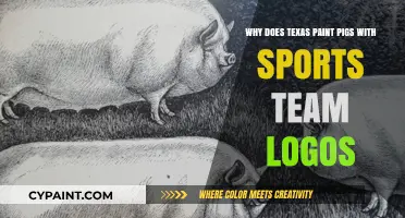 Texas Tradition: Painting Pigs with Sports Team Logos Explained
