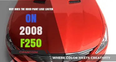 Reviving Shine: Understanding Hood Paint Luster Loss on 2008 F-250s