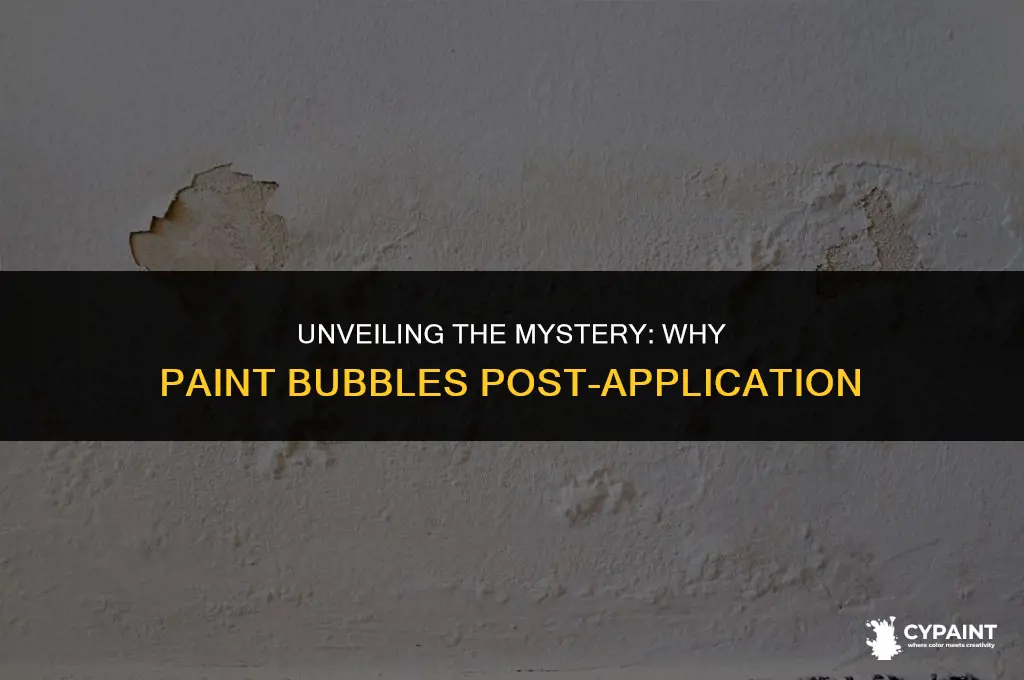 why does the paint bubble up after i finish painting