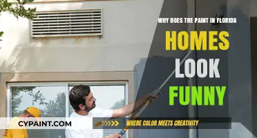 Why Florida's Humidity and Sun Fade Your Home's Paint Fast