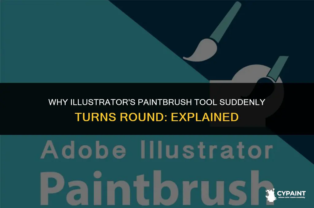 why does the paint rbush tool on illustrator turn round