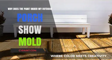 Uncovering the Reasons Behind Mold Growth Under Your Outdoor Porch
