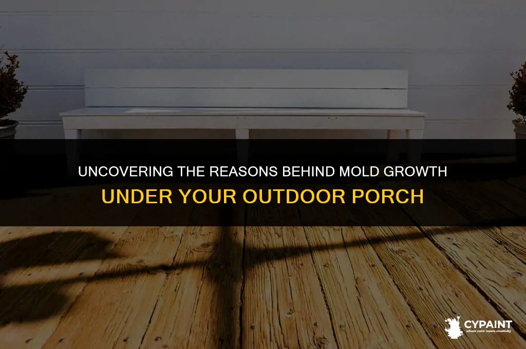 why does the paint under my outdoor porch show mold
