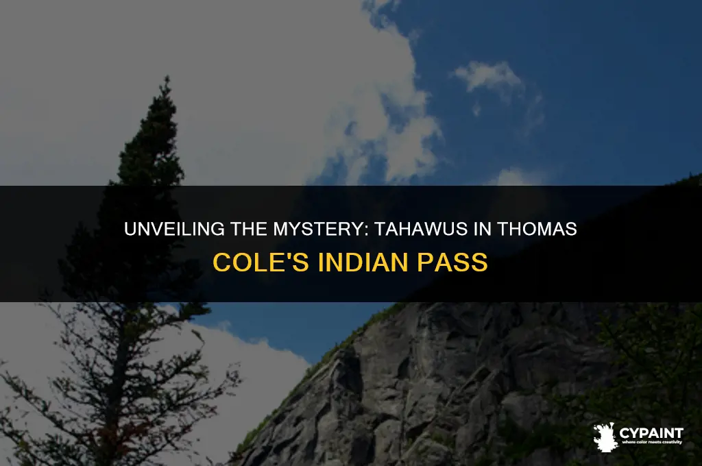 why does thomas cole painting indian pass have tahawus added