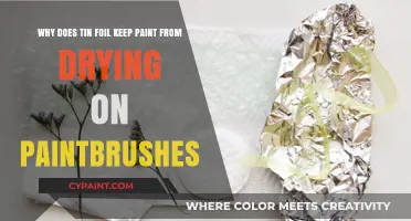 Unveiling the Secret: How Tin Foil Preserves Paintbrushes
