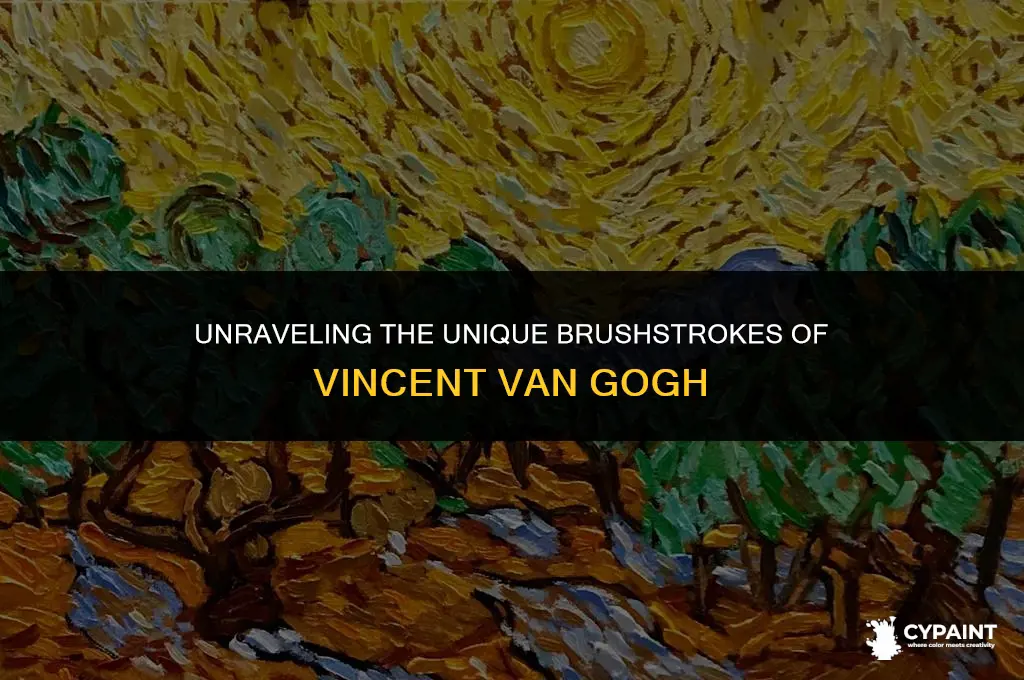 why does vincent van gogh paint the way he does