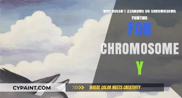 Unraveling the Mystery: Why 23andMe Skips Chromosome Y Painting