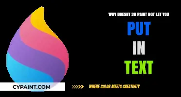 Troubleshooting 3D Paint: Adding Text to Your Creations