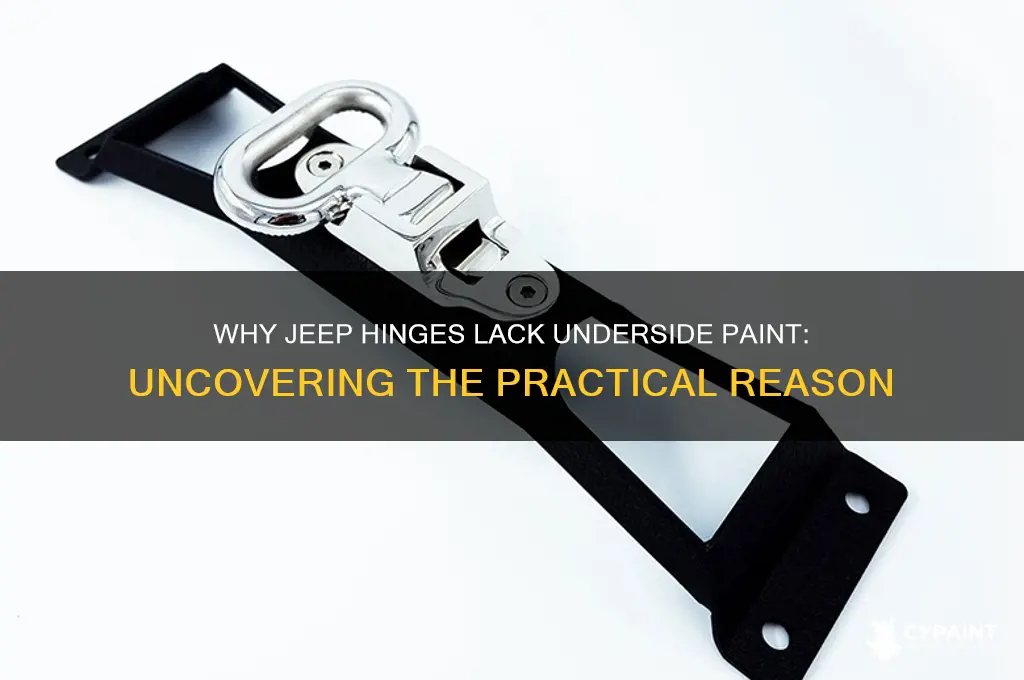 why doesnt jeep paint the underside of their hinges