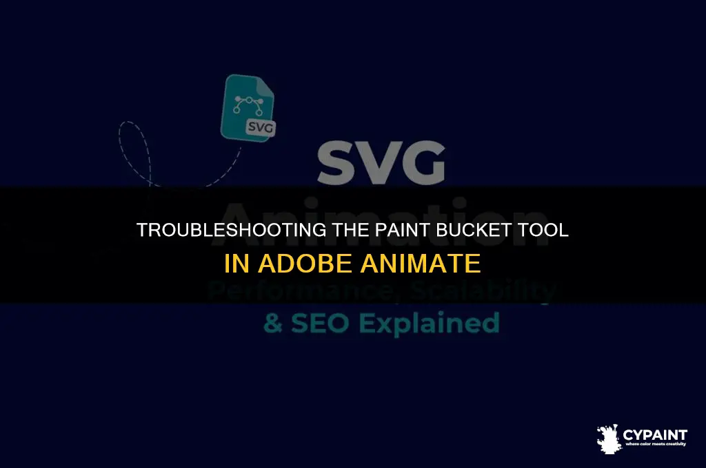 why doesnt my paint bucket tool work in adobe animate
