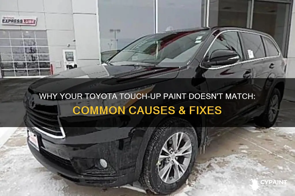 Why Your Toyota Touch-Up Paint Doesn't Match: Common Causes & Fixes ...