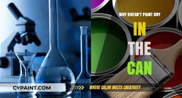 Unveiling the Mystery: Why Paint Dries Outside the Can