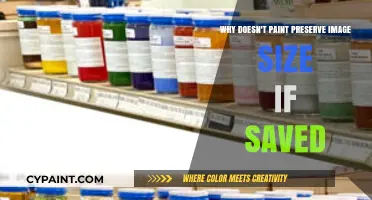 Why Paint Fails to Preserve Image Size When Saved