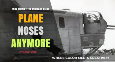 The Disappearance of Painted Plane Noses: Military Aviation's Stealth Evolution