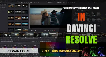 Troubleshooting the Paint Tool in DaVinci Resolve: A Comprehensive Guide