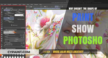 Why Paint's Shape Doesn't Mirror Photoshop's Precision: Unraveling the Mystery