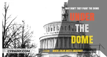 Unveiling the Mystery: Why the Dome Under the Dome Remains Unpainted