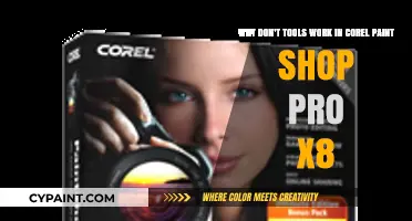 Troubleshooting Corel PaintShop Pro X8: Why Your Tools Aren't Working