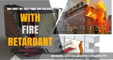 Fireproofing Our Future: The Case for Paint and Building Retardants