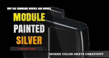 Why the EAS Command and Service Modules Shine in Silver