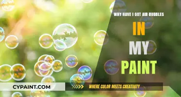 Air Bubbles in Paint: Causes, Prevention, and Quick Fixes Explained